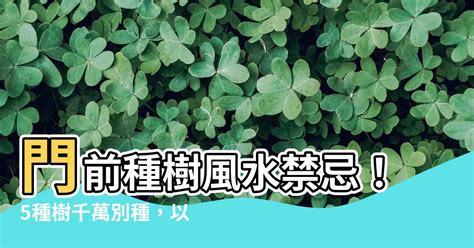 門前種什麼樹|門前種樹禁忌:這些樹千萬別種